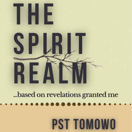 The SPIRIT Realm