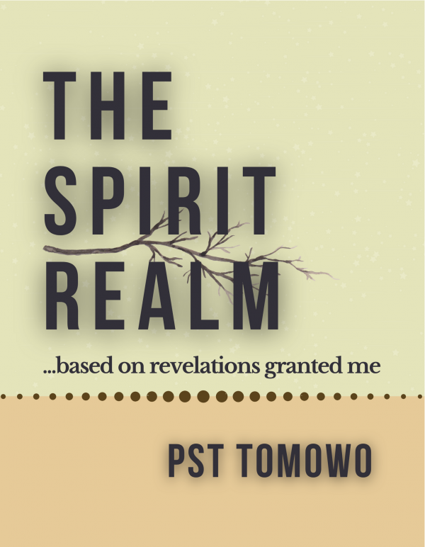 The SPIRIT Realm